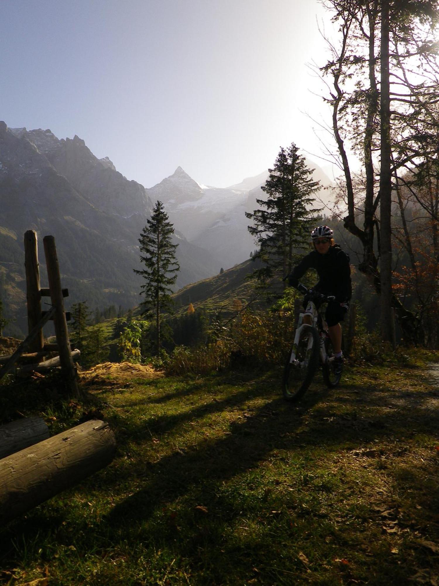 Alpenlodge Willigen Εξωτερικό φωτογραφία