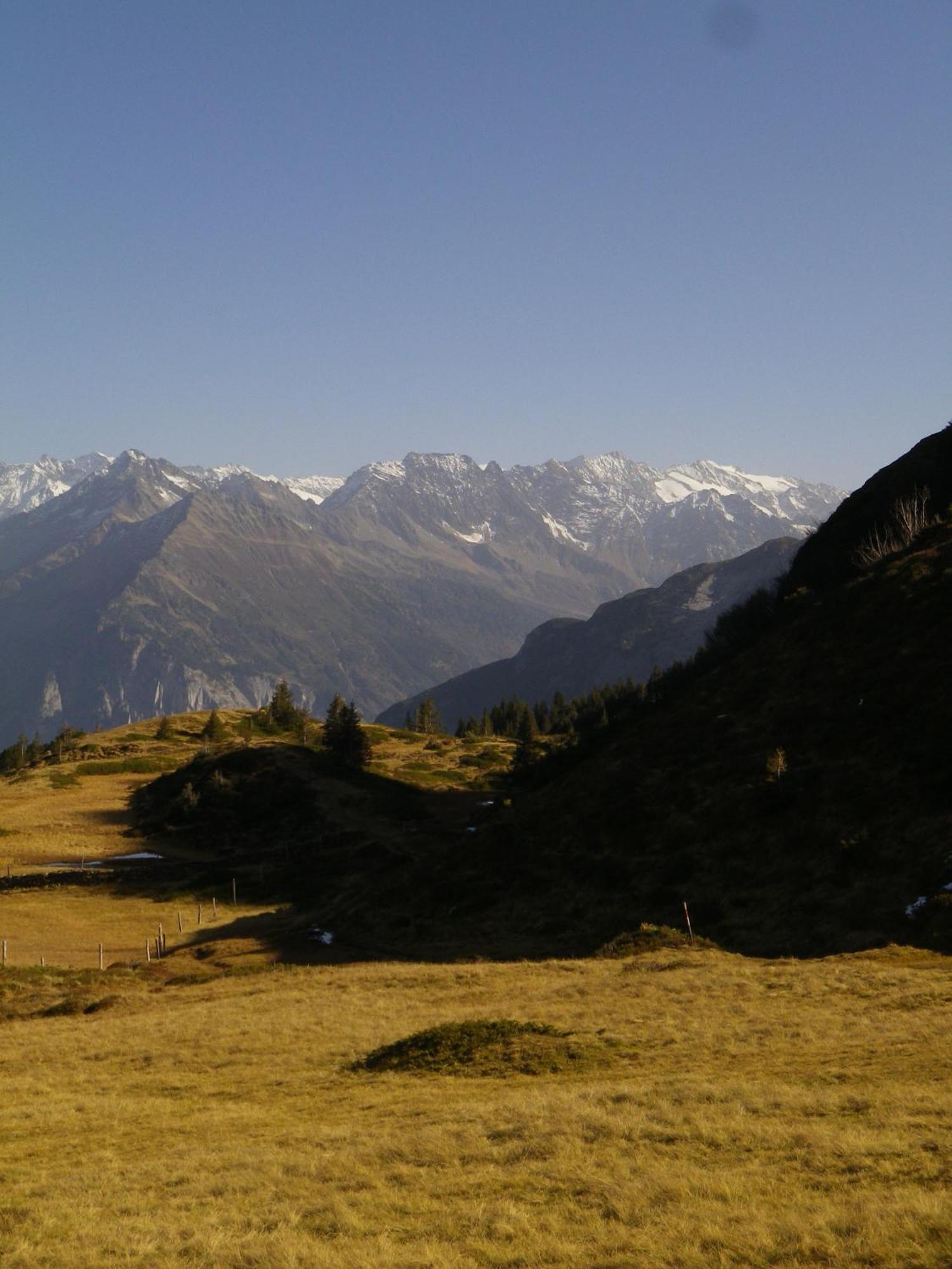 Alpenlodge Willigen Εξωτερικό φωτογραφία
