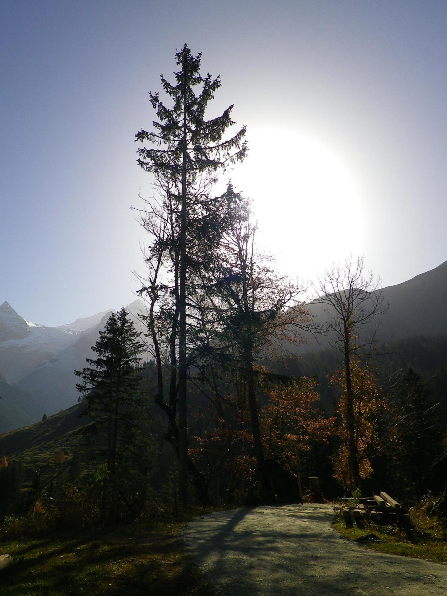Alpenlodge Willigen Εξωτερικό φωτογραφία