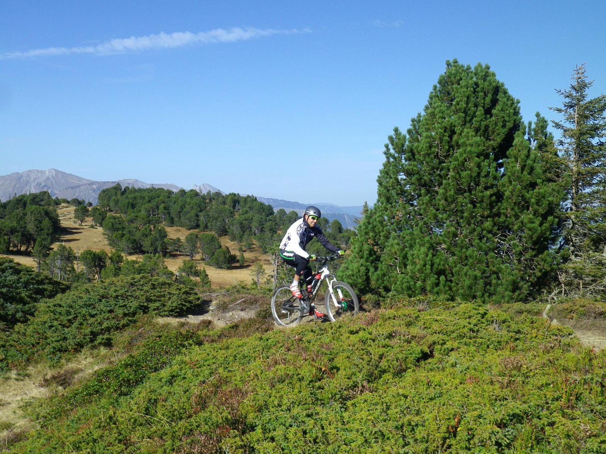 Alpenlodge Willigen Εξωτερικό φωτογραφία