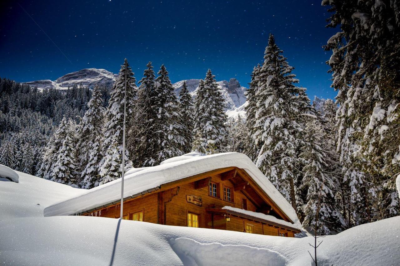 Alpenlodge Willigen Εξωτερικό φωτογραφία