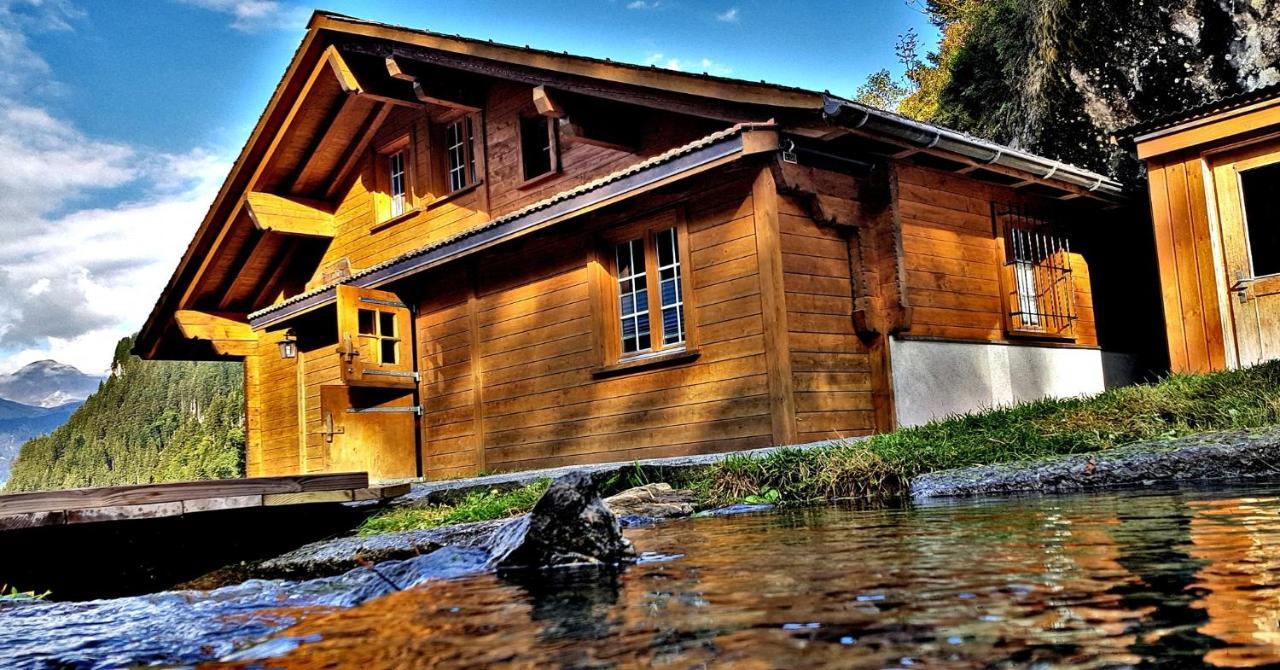 Alpenlodge Willigen Εξωτερικό φωτογραφία