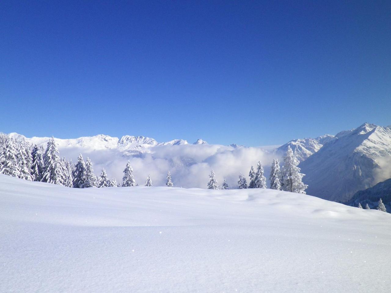 Alpenlodge Willigen Εξωτερικό φωτογραφία