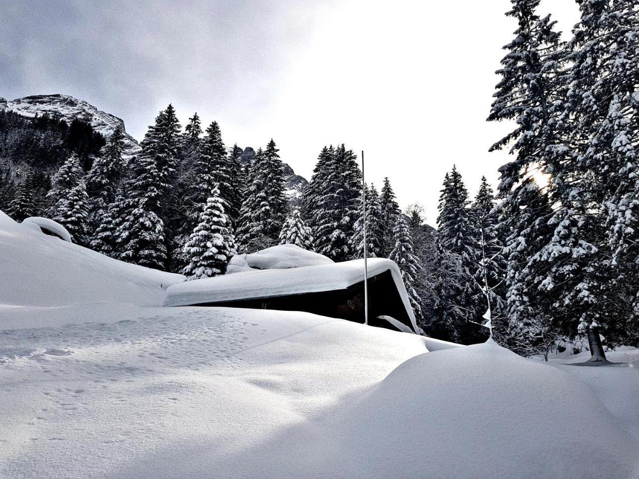 Alpenlodge Willigen Εξωτερικό φωτογραφία