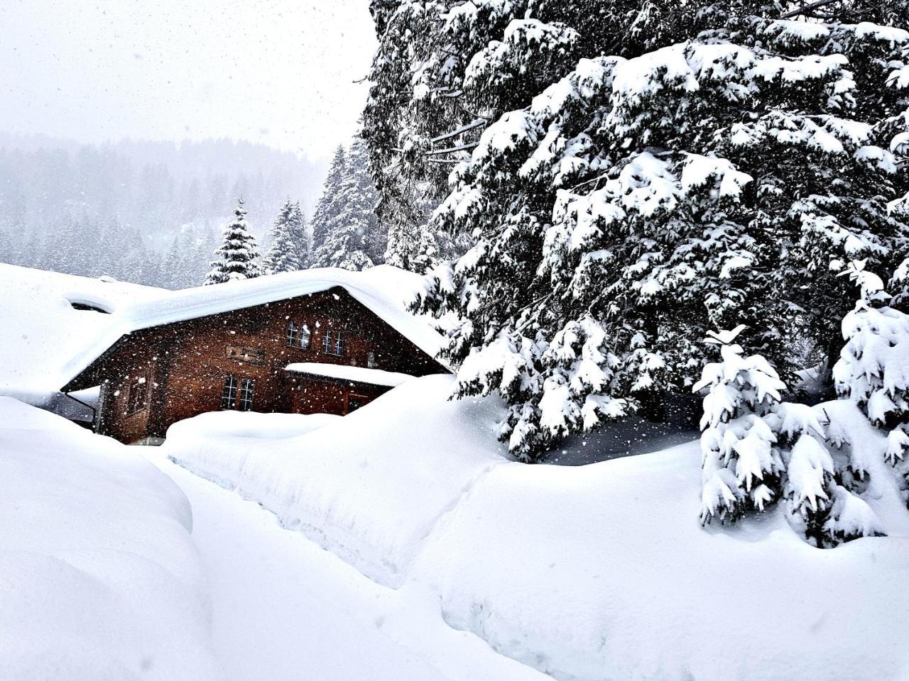 Alpenlodge Willigen Εξωτερικό φωτογραφία
