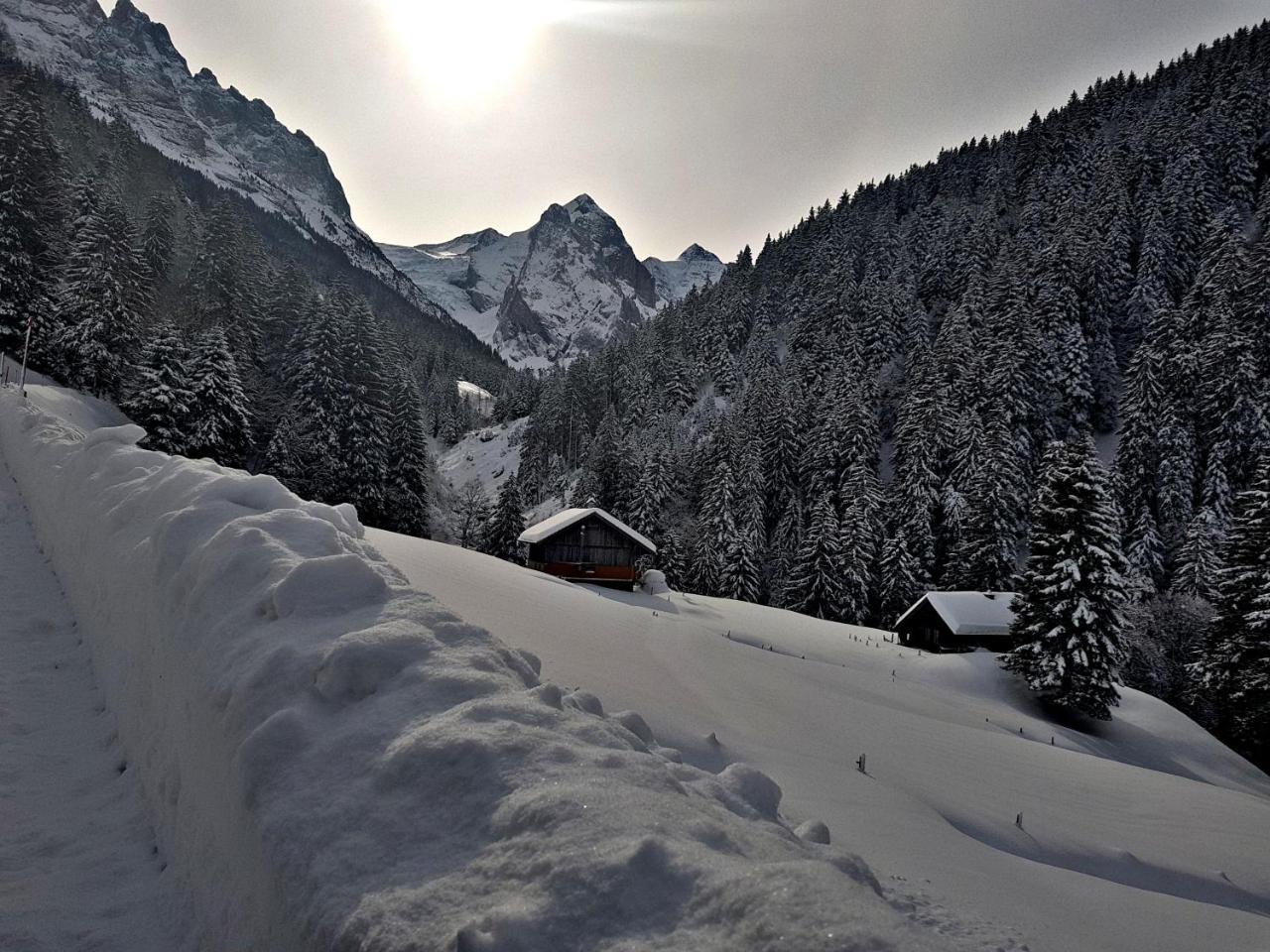 Alpenlodge Willigen Εξωτερικό φωτογραφία