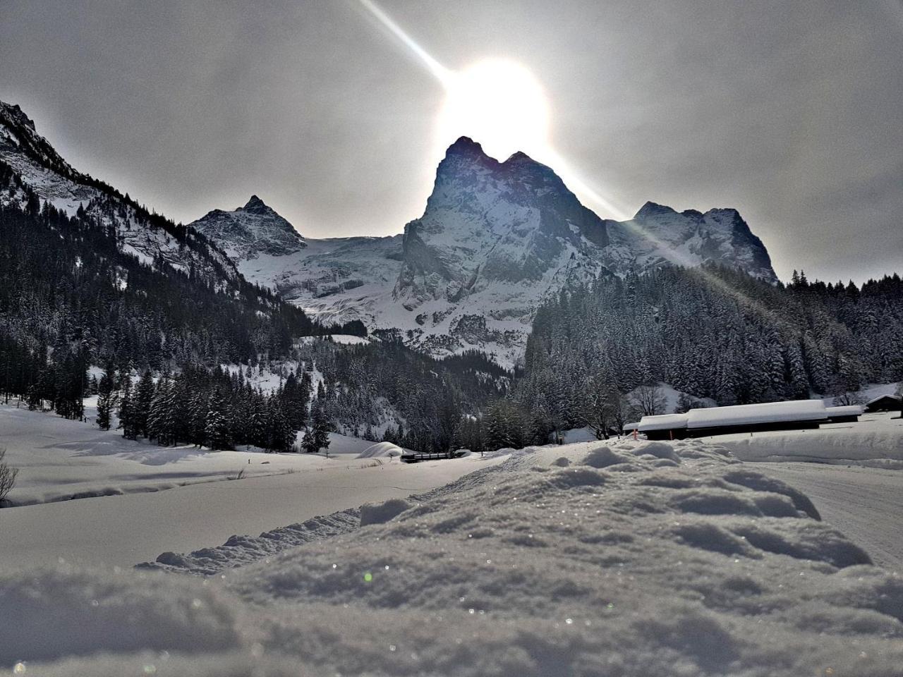 Alpenlodge Willigen Εξωτερικό φωτογραφία