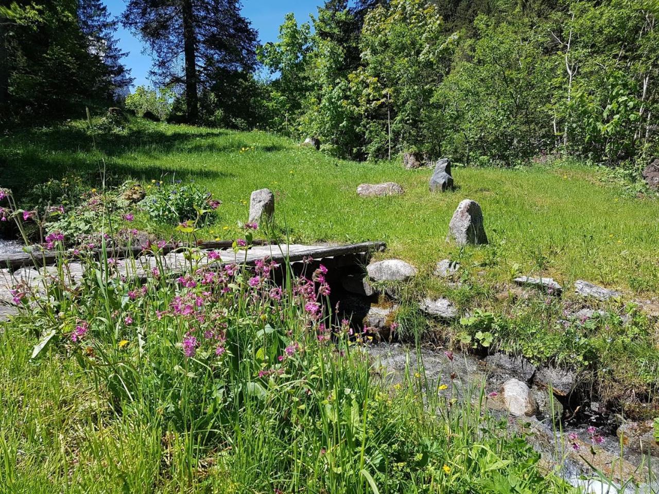 Alpenlodge Willigen Εξωτερικό φωτογραφία