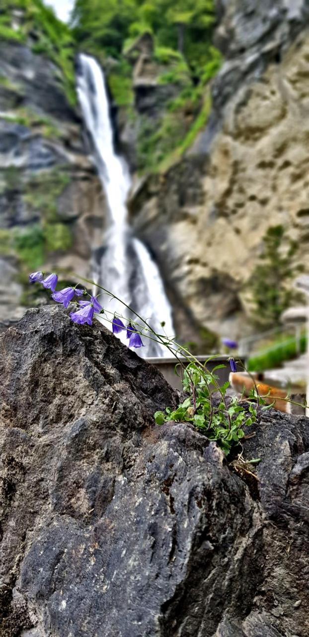 Alpenlodge Willigen Εξωτερικό φωτογραφία