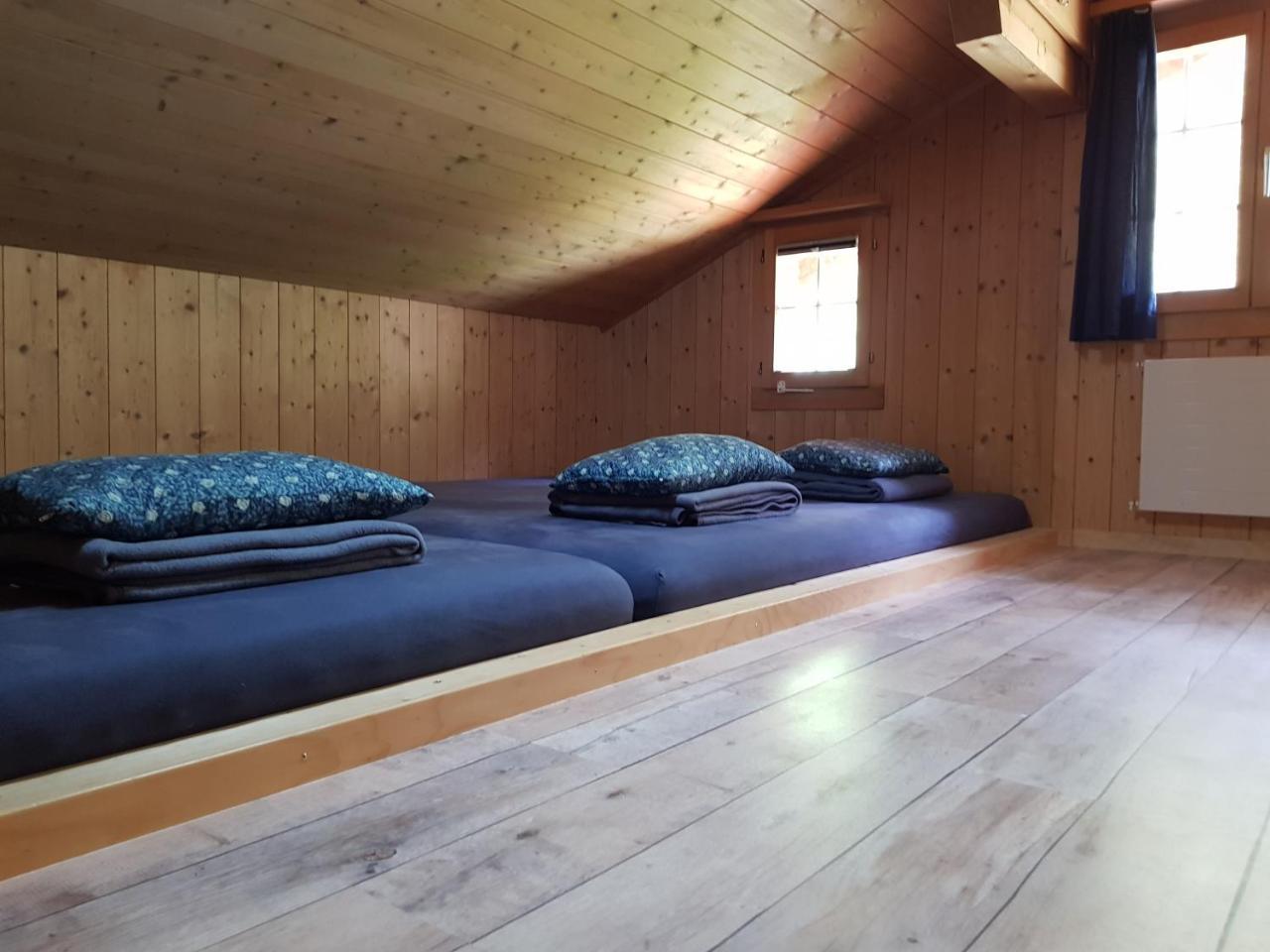 Alpenlodge Willigen Εξωτερικό φωτογραφία