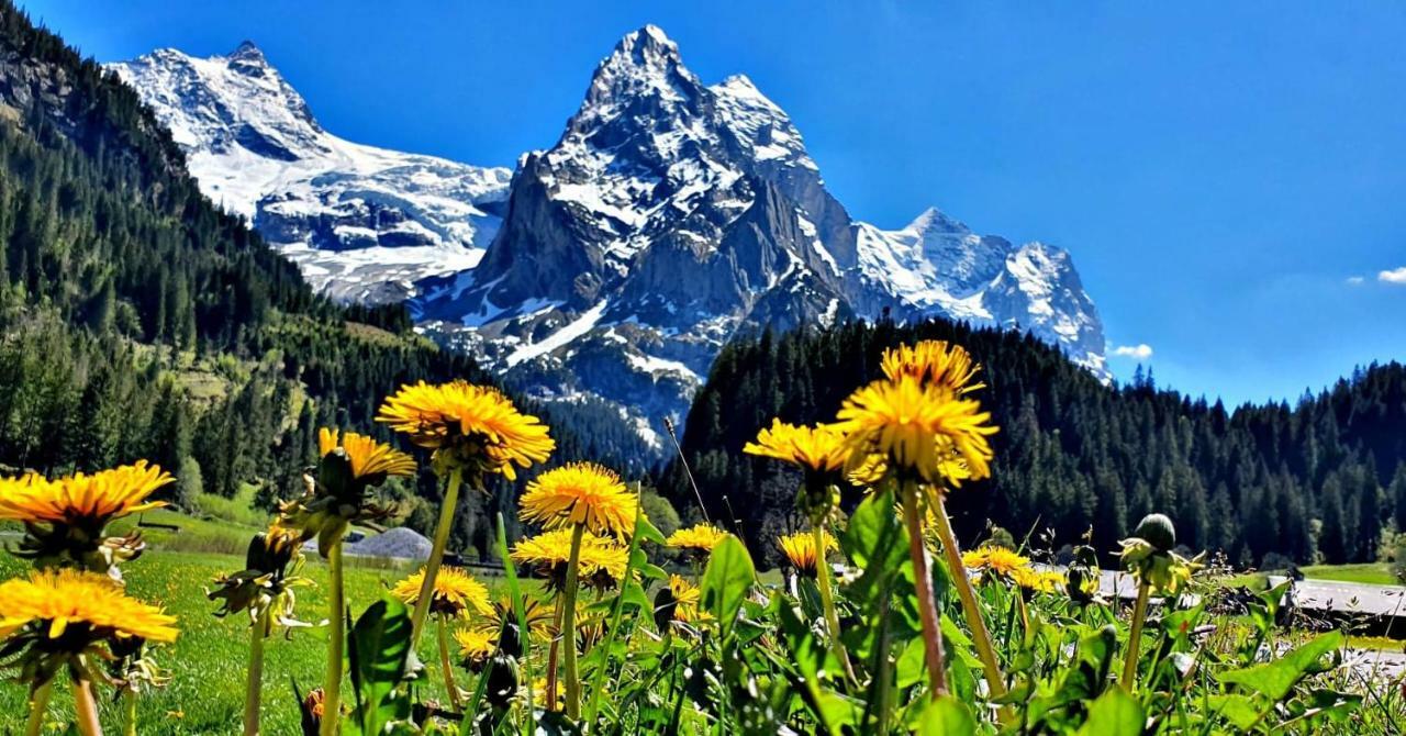 Alpenlodge Willigen Εξωτερικό φωτογραφία