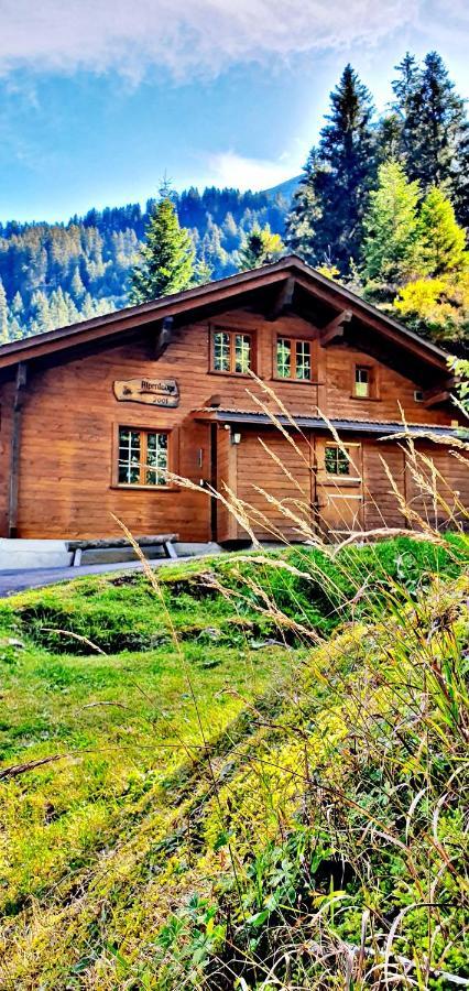 Alpenlodge Willigen Εξωτερικό φωτογραφία