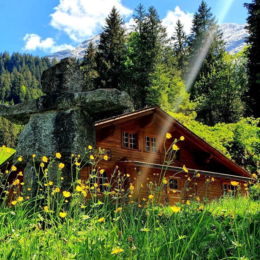 Alpenlodge Willigen Εξωτερικό φωτογραφία