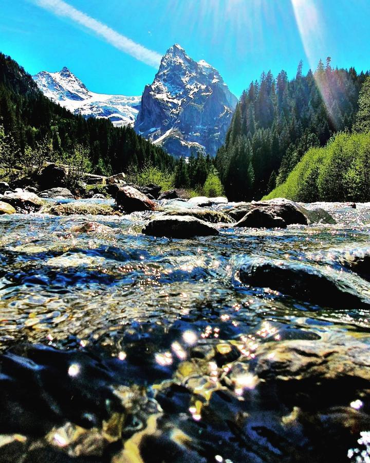 Alpenlodge Willigen Εξωτερικό φωτογραφία